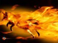 mozilla firefox